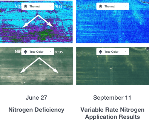 nitrogen deficiency and variable rate N application results