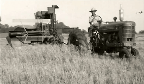 Historical photo of farmer harvesting